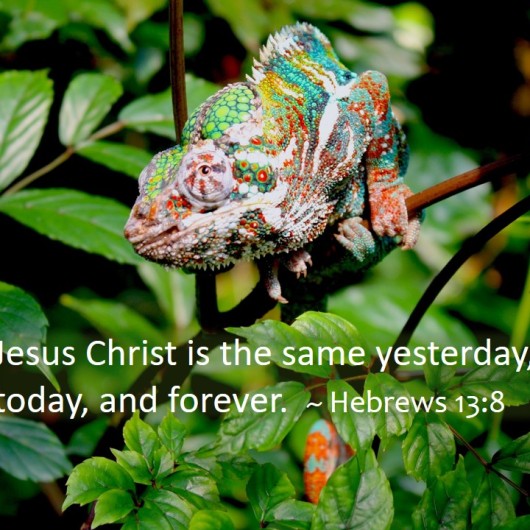 colorful chameleon to contrast with the text that Jesus Christ is the same yesterday, today, and forever. From Hebrews 13:8